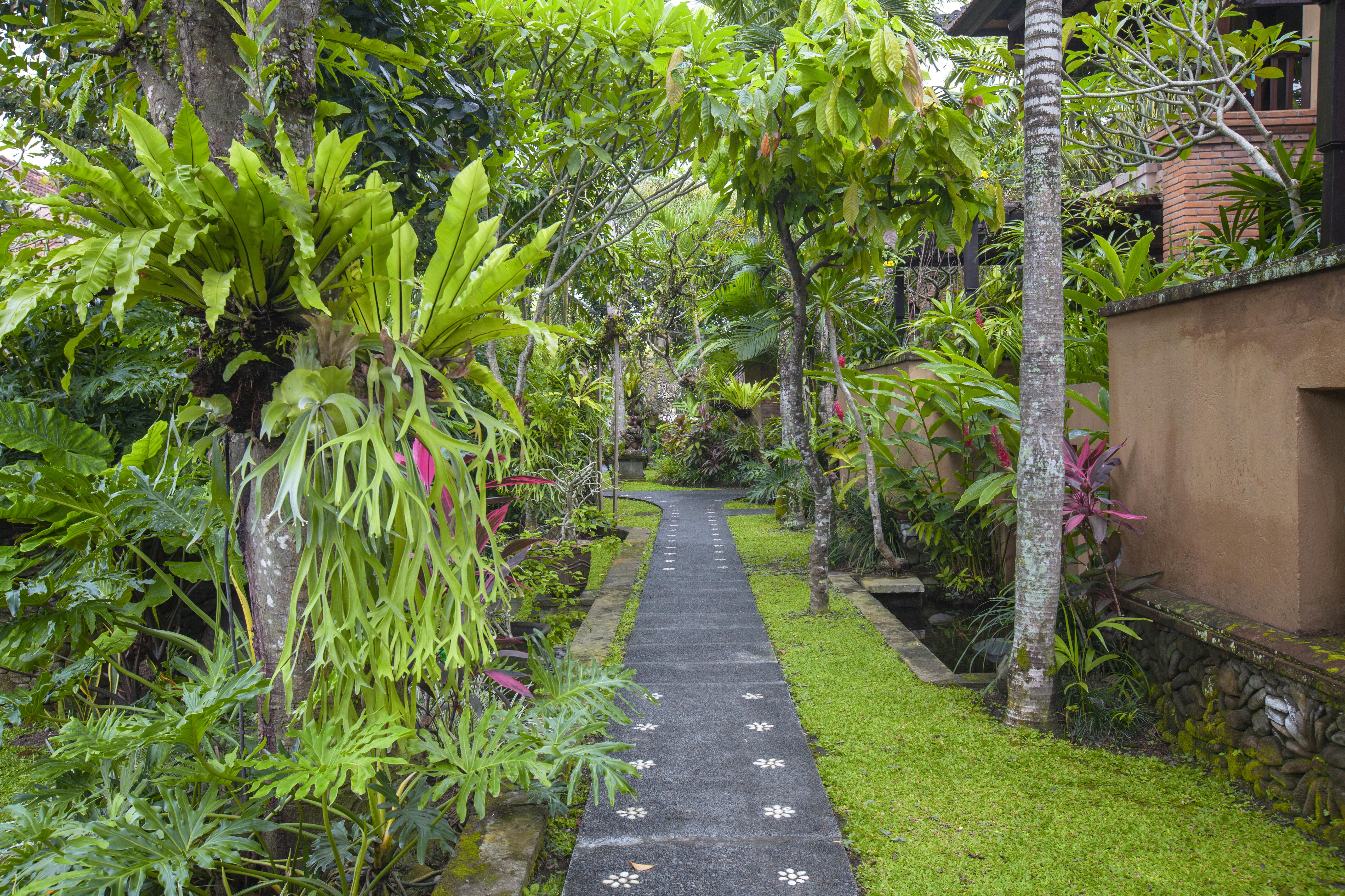 Bebek Tepi Sawah Restaurant & Villas Ubud Eksteriør bilde