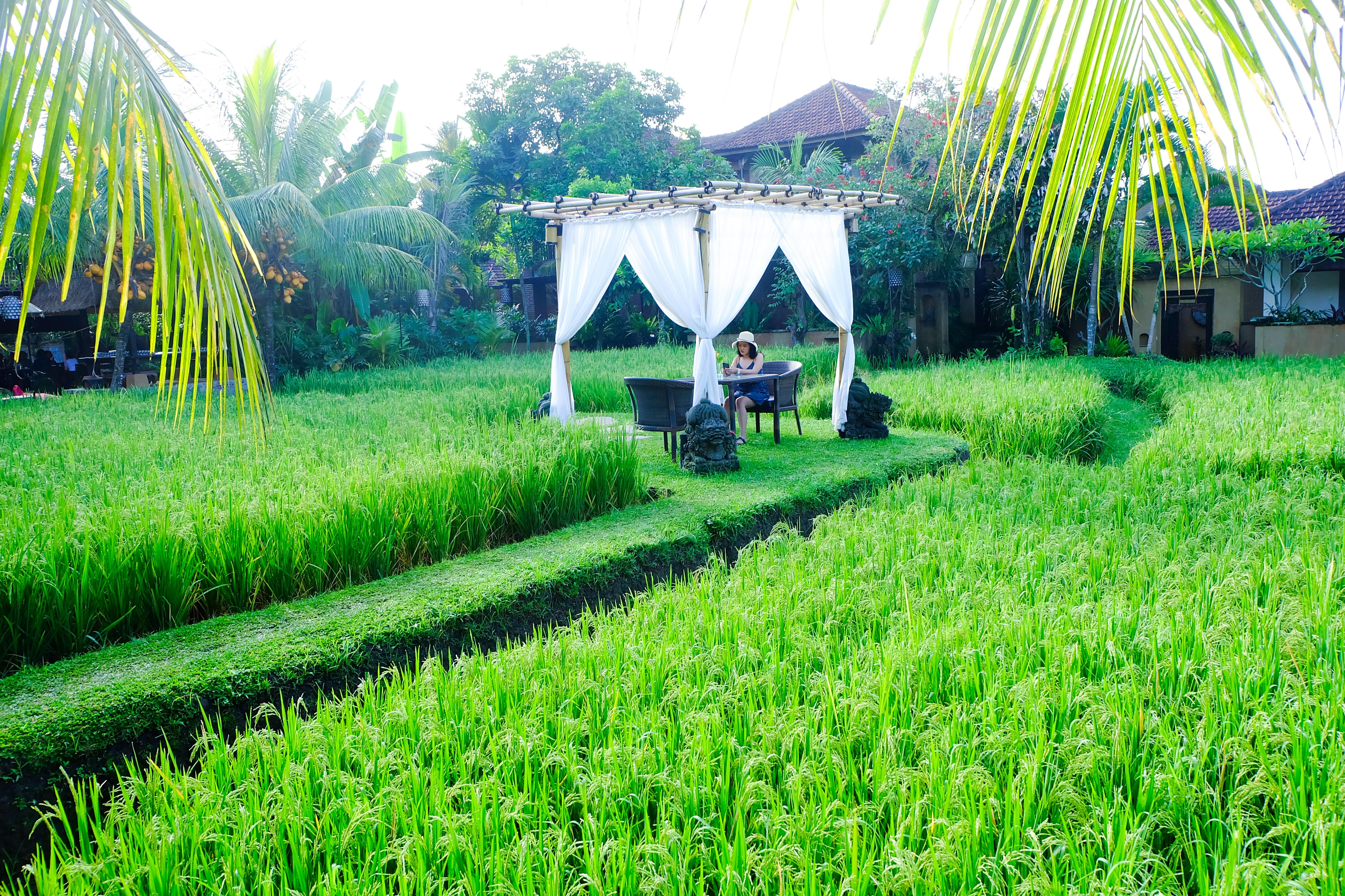Bebek Tepi Sawah Restaurant & Villas Ubud Eksteriør bilde