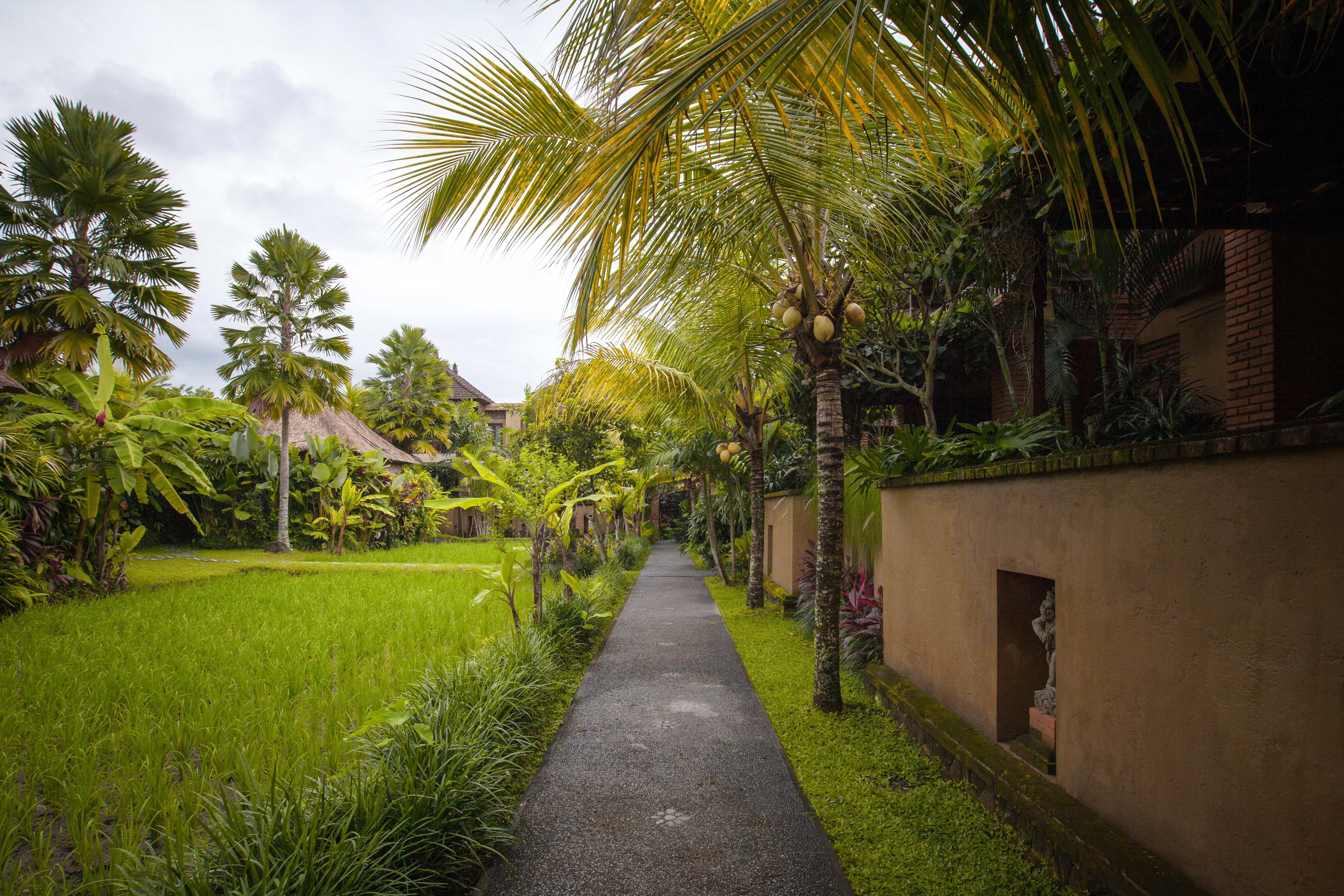 Bebek Tepi Sawah Restaurant & Villas Ubud Eksteriør bilde