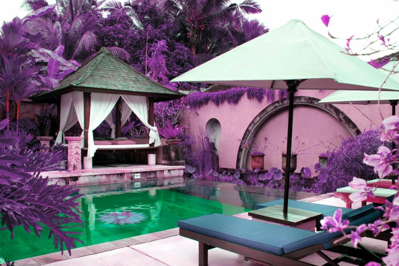 Bebek Tepi Sawah Restaurant & Villas Ubud Rom bilde